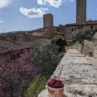 Best enjoyed on the nearby Via degli Innocenti at Caffetteria Gelateria dell'Olmo in San Gimignano