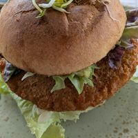  at Surfcafé in Norderney