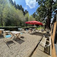 Tea garden   at Horseshoe Farm Shop in Whitby