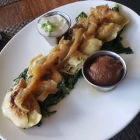 Spinach Perogies at G-Zen in Branford