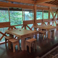 Dining area surrounded by big windows that open. It was raining when I visited and the found snd smell of the rain was wonderful. Plus, I got to watch two birds while I ate.  at ne - Plant-based Cafe & Act in Yakushima