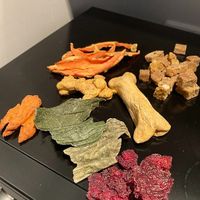  at hundsfutter in Madrid