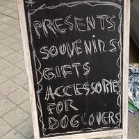  at hundsfutter in Madrid