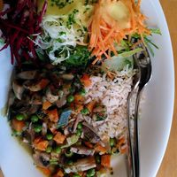 Pilzfrikassee mit Reis at Wurzelküche-Gesundes MIttag in Dresden