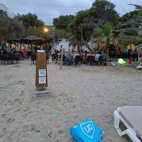 A flock of non-flying Dutchmen at Can Jaume Beach Bar in Ibiza