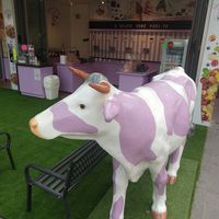 Outside at Baby Mucca in Lignano Sabbiadoro