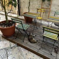 Cute outdoor seating area w feline entertainment!  at Terza Luna in Trani
