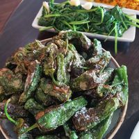 Pimientos del padrón and spinach with garlic at La Casa Flamenca in Portsmouth