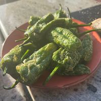 Vegan Spanish peppers at La Casa Flamenca in Portsmouth