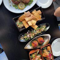   at Jungle Bird in Birmingham