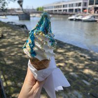   at The Happy Cow in Bristol