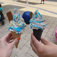   at The Happy Cow in Bristol