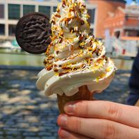  at The Happy Cow in Bristol