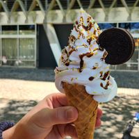  at The Happy Cow in Bristol