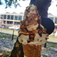  at The Happy Cow in Bristol