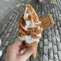   at The Happy Cow in Bristol