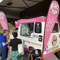 The Happy Cow (at Bristol Vegan Fayre)  at The Happy Cow in Bristol