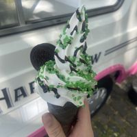   at The Happy Cow in Bristol