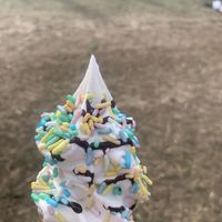 Chocolate sauce with sprinkles  at The Happy Cow in Bristol