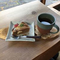 Apple cake and tea at Yasai Cafe Meguri in Nikko