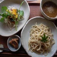 A sample of the food I had. The noodle sauce was very tasty. The price of the menu was 1380 yen. at Yasai Cafe Meguri in Nikko