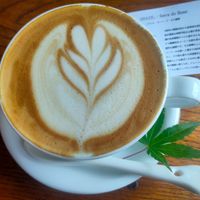  at Yasai Cafe Meguri in Nikko