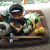 A platter of small dishes served on a chopping board. The sprouted rice served with sesame is delicious on its own! at Yasai Cafe Meguri in Nikko
