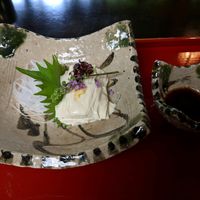 Shashimi style yuba at Gyoshintei in Nikko