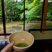 matcha + garden at Gyoshintei in Nikko