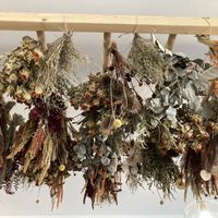 Decor!  at Cult Cafe in Ullapool