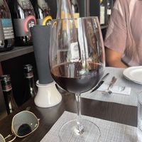 Lovely wine!  at WonderUmbria in Torgiano