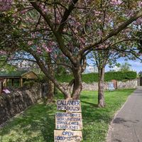 Back entrance to beer garden at The Meadows in Callander