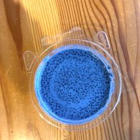 Blue chia seed puddingg  at Blossoming Lotus in Portland
