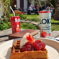 Belgian waffle with soy ice cream and strawberry jam. at Skönfärgaregården in Linkoping