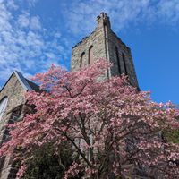 Bamse Coffee & Roaster 5/8/2022 at Bamse Coffee and Roaster in Shamokin