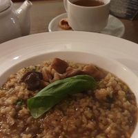 Mushroom risotto at Il Piccolinos in Warwick