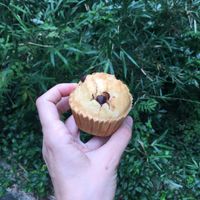   at Canola Flower in Kamakura