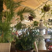 Restaurant   at Habibi in Tenerife