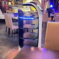 This cutie robot served my entree. at 615Chutney in Nashville