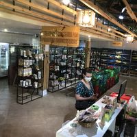   at Coité in Brasilia