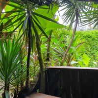  at Tambie's Bro Panadería in Manzanillo