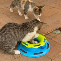  at La Selva de los Gatos in Oaxaca