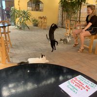   at La Selva de los Gatos in Oaxaca