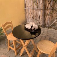   at La Selva de los Gatos in Oaxaca