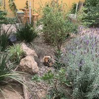   at La Selva de los Gatos in Oaxaca