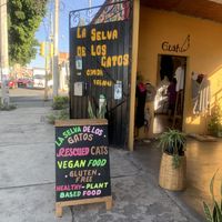   at La Selva de los Gatos in Oaxaca