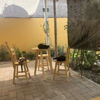 It should go without saying that there is cat hair.  at La Selva de los Gatos in Oaxaca