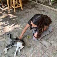   at La Selva de los Gatos in Oaxaca