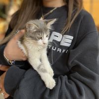   at La Selva de los Gatos in Oaxaca