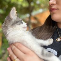   at La Selva de los Gatos in Oaxaca